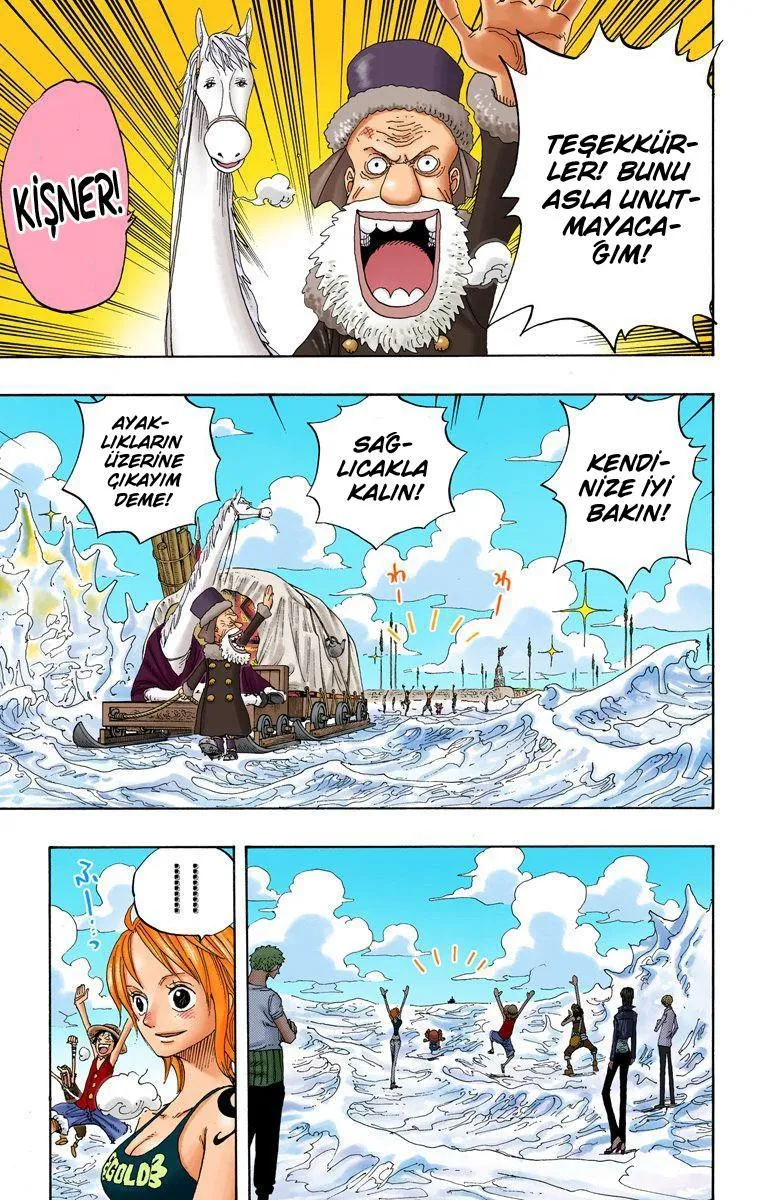 One Piece [Renkli] - Sayfa 17