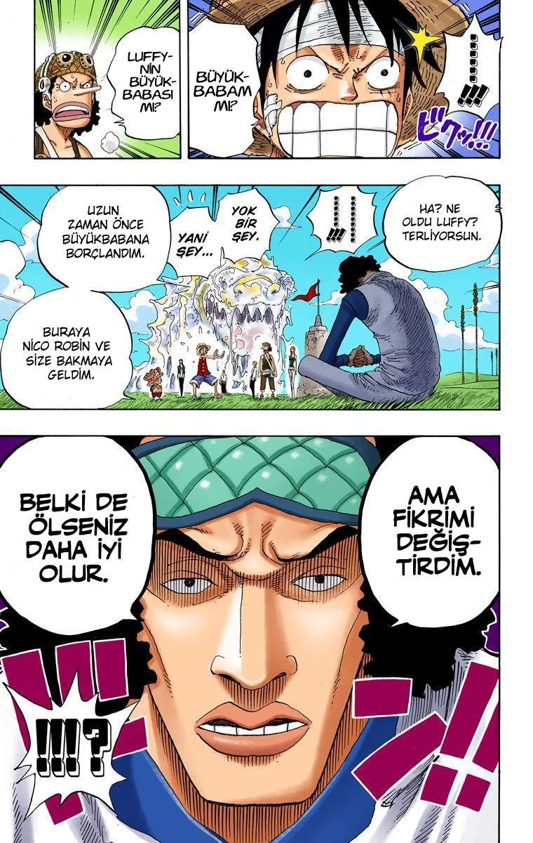 One Piece [Renkli] - Sayfa 19