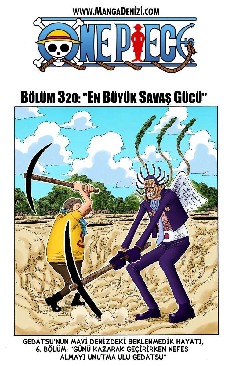 One Piece [Renkli] - Sayfa 2