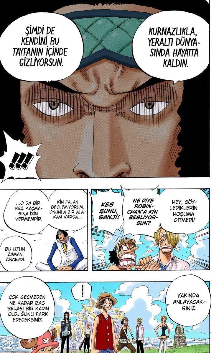 One Piece [Renkli] - Sayfa 6