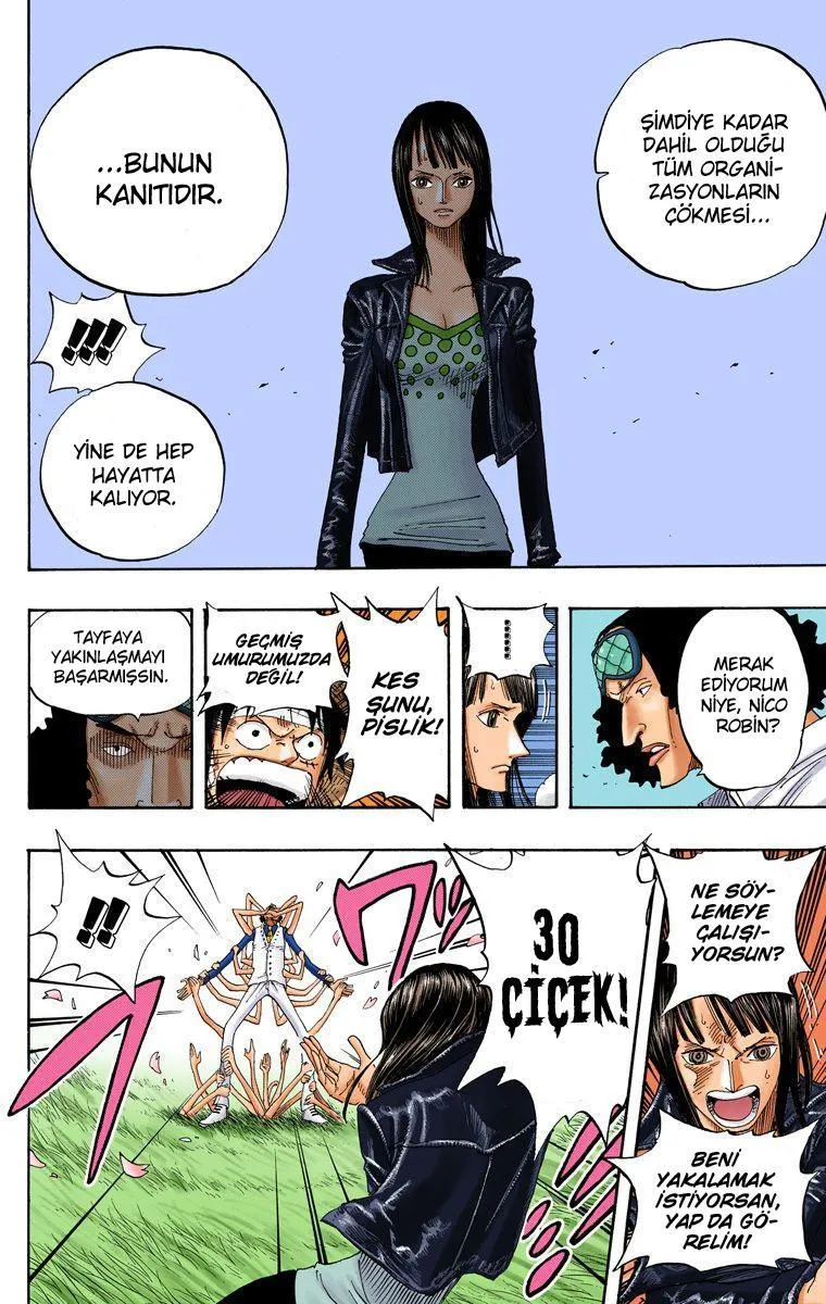 One Piece [Renkli] - Sayfa 7