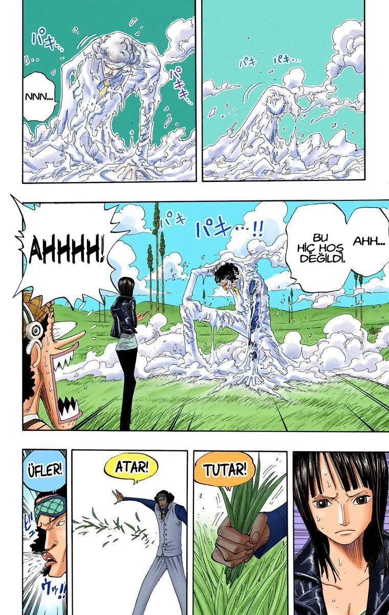 One Piece [Renkli] - Sayfa 9