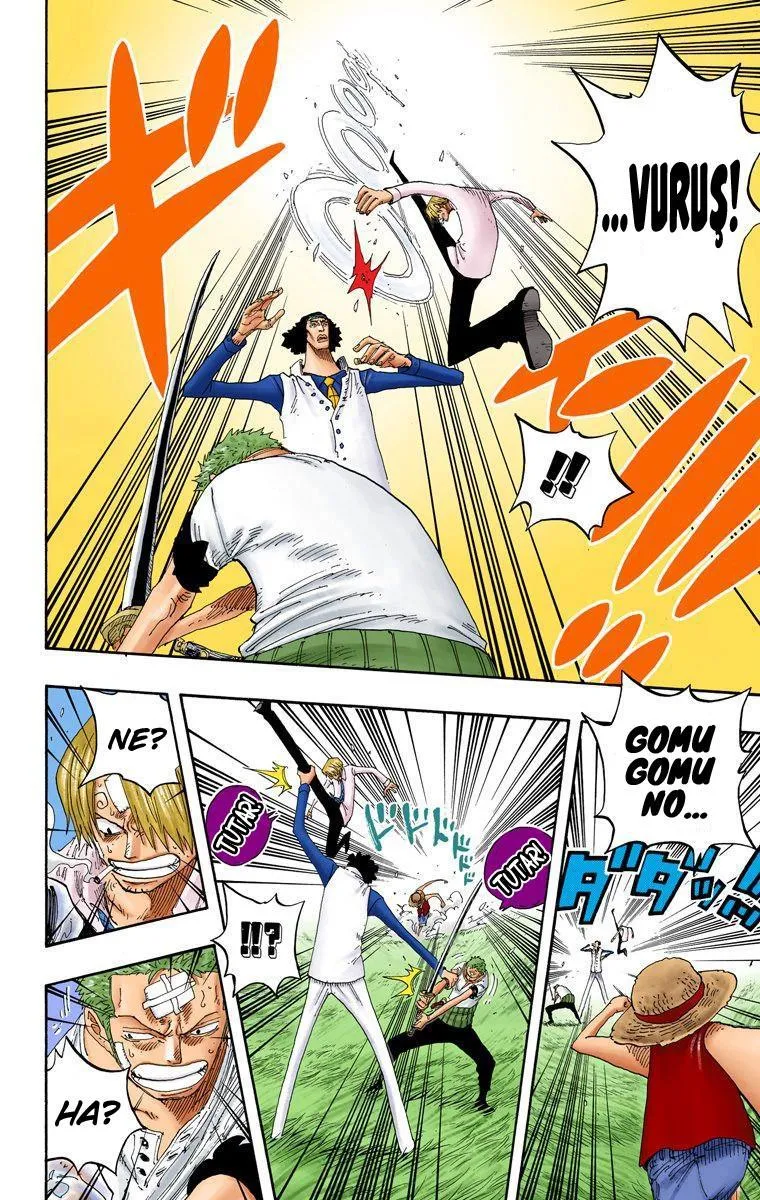 One Piece [Renkli] - Sayfa 11