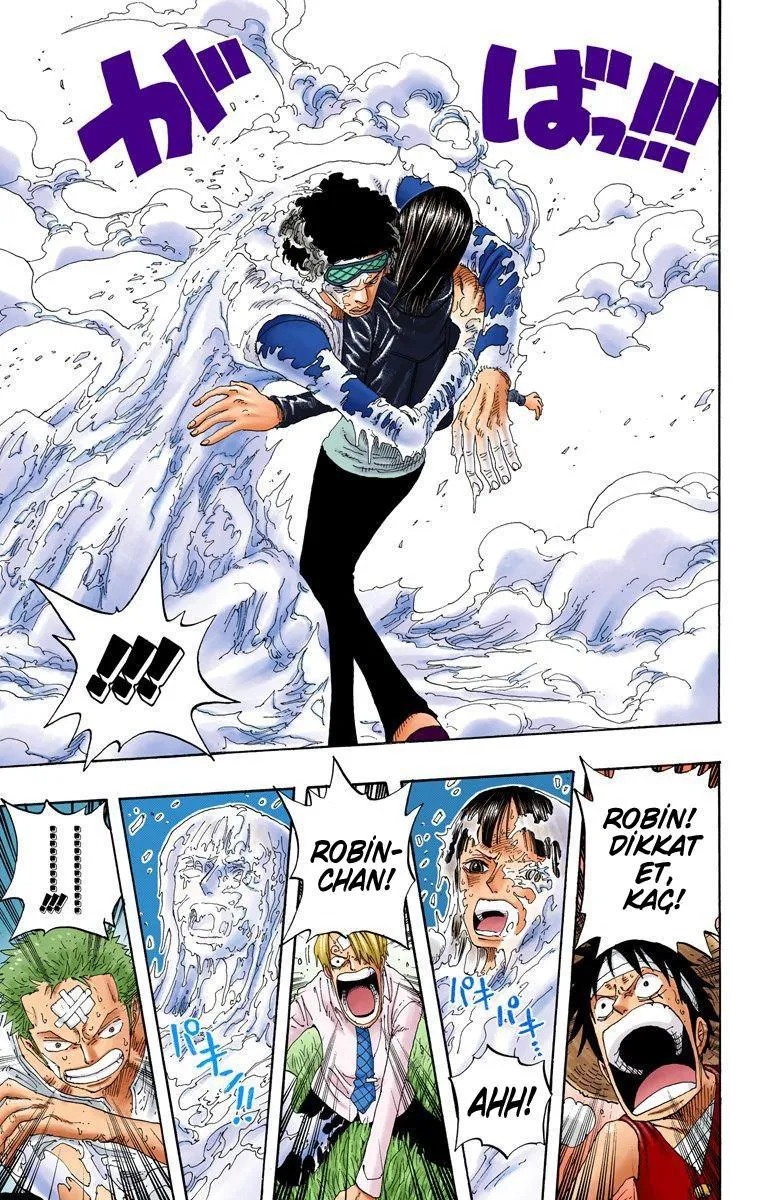 One Piece [Renkli] - Sayfa 14