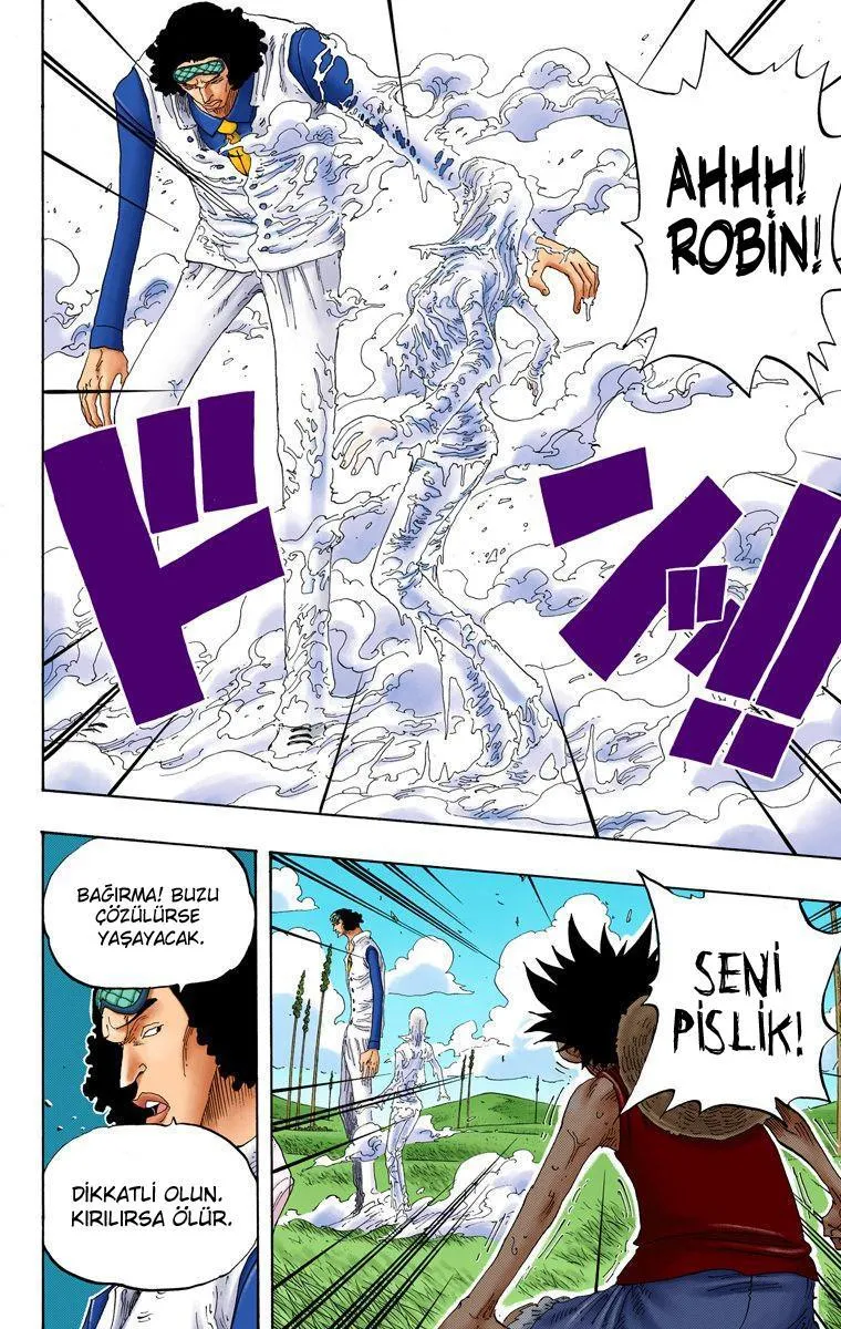 One Piece [Renkli] - Sayfa 15