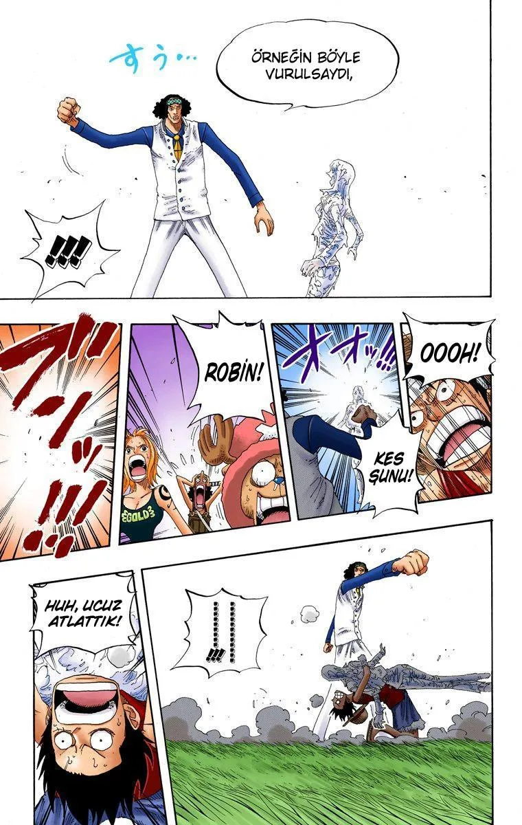 One Piece [Renkli] - Sayfa 16