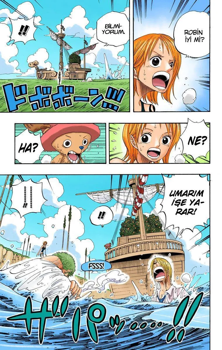 One Piece [Renkli] - Sayfa 6