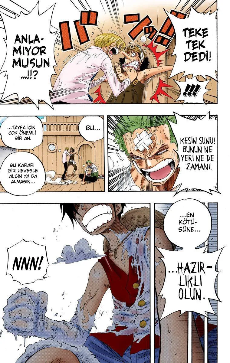 One Piece [Renkli] - Sayfa 8