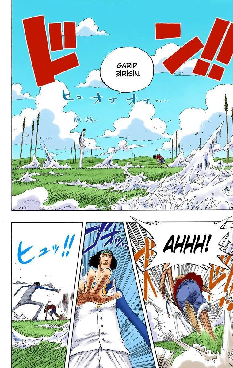 One Piece [Renkli] - Sayfa 9