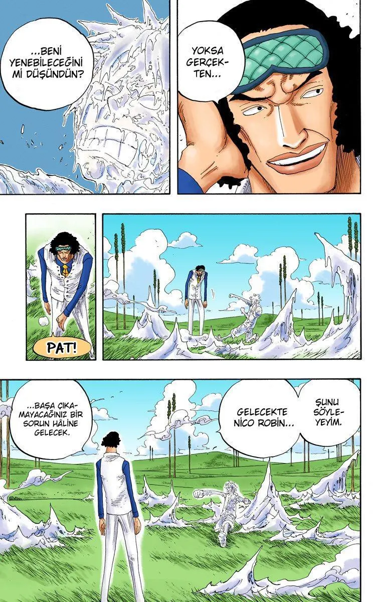 One Piece [Renkli] - Sayfa 13