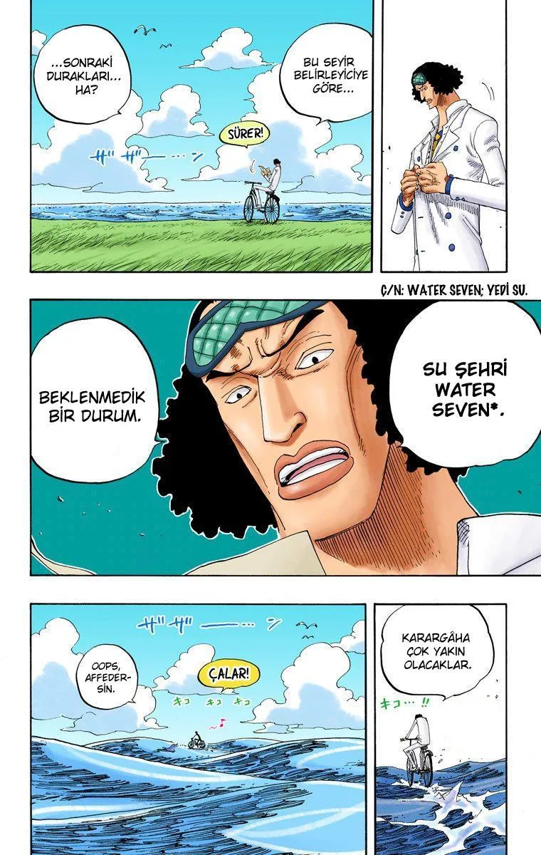 One Piece [Renkli] - Sayfa 16