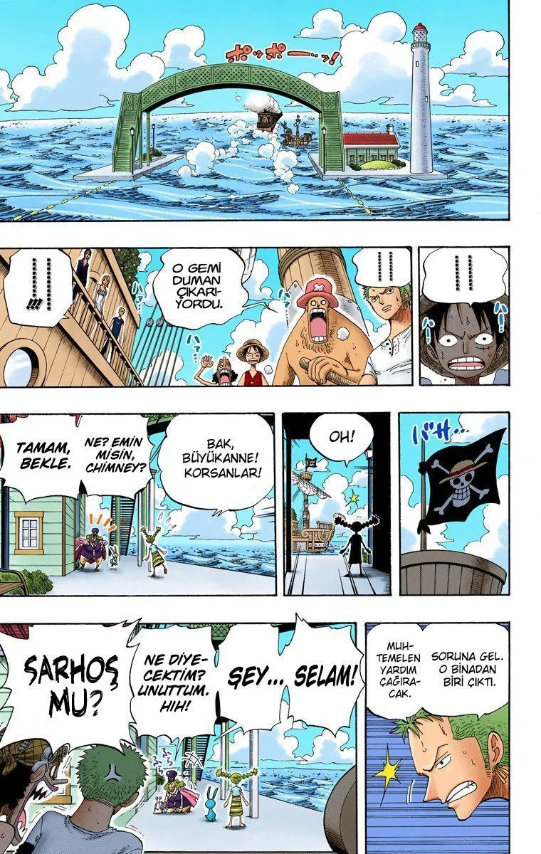 One Piece [Renkli] - Sayfa 15