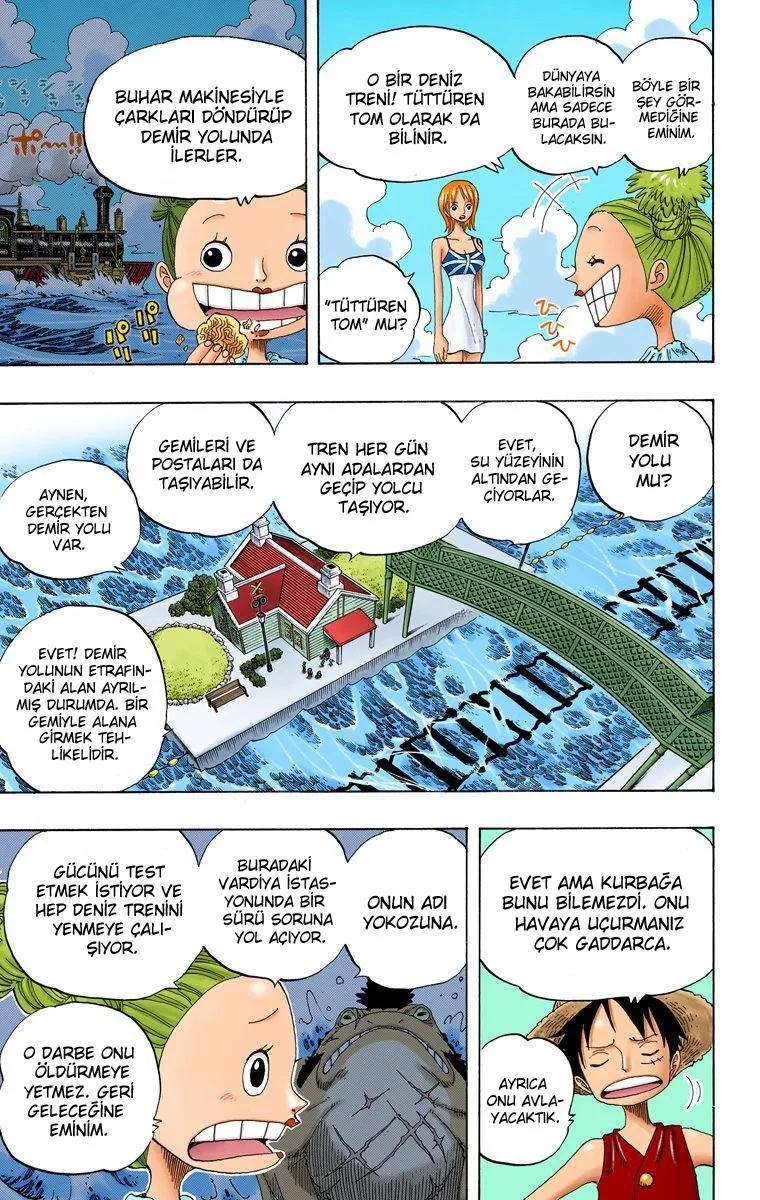 One Piece [Renkli] - Sayfa 17
