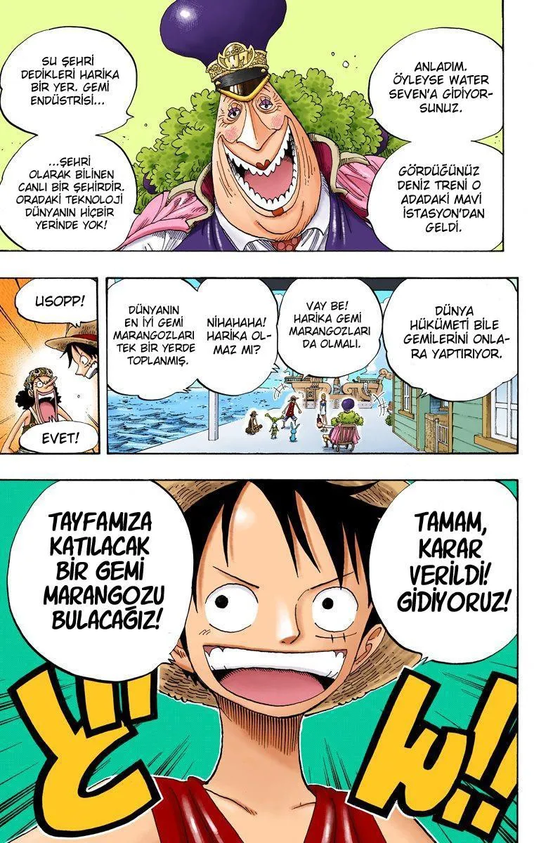 One Piece [Renkli] - Bölüm 0322 - Sayfa 19