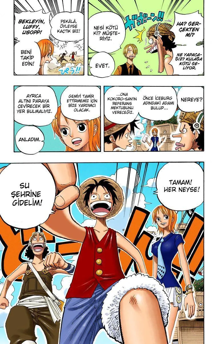 One Piece [Renkli] - Sayfa 13