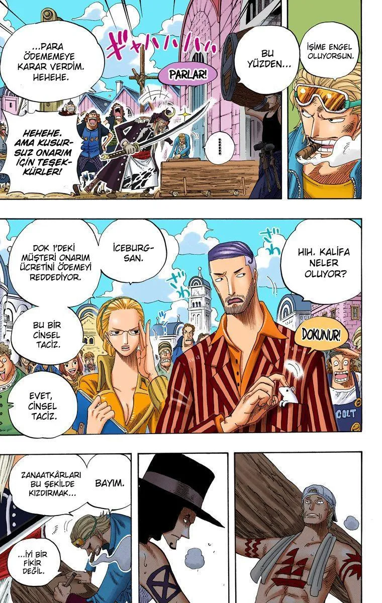 One Piece [Renkli] - Sayfa 15
