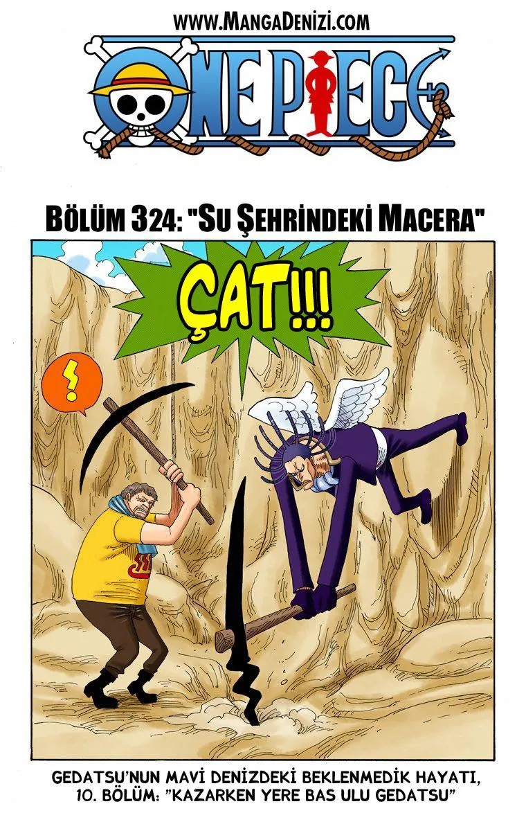 One Piece [Renkli] - Sayfa 2