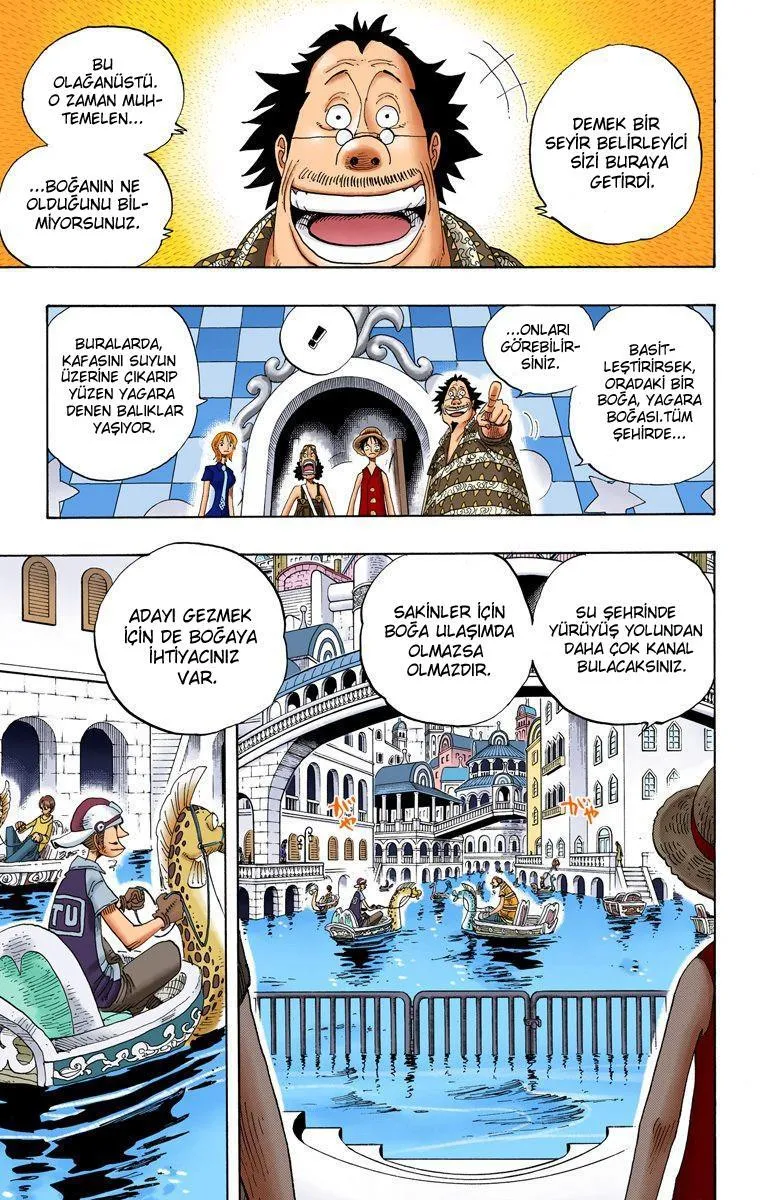 One Piece [Renkli] - Sayfa 6