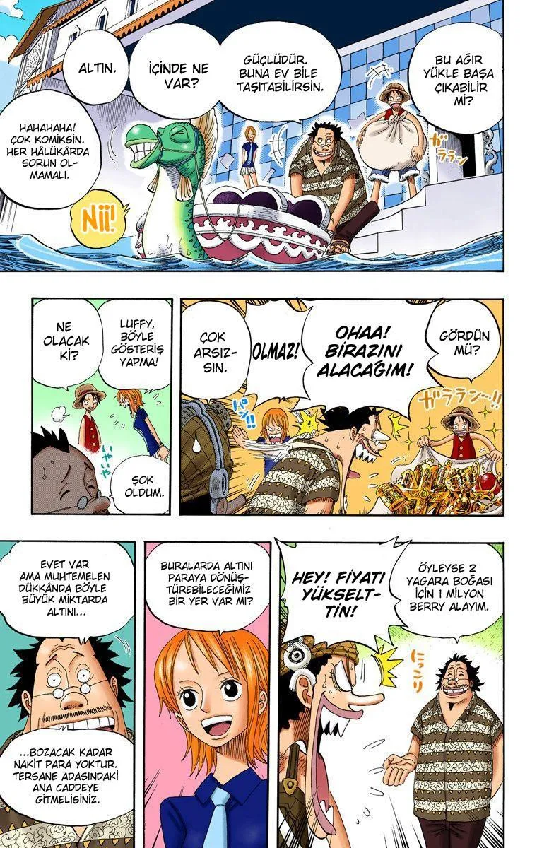 One Piece [Renkli] - Sayfa 8