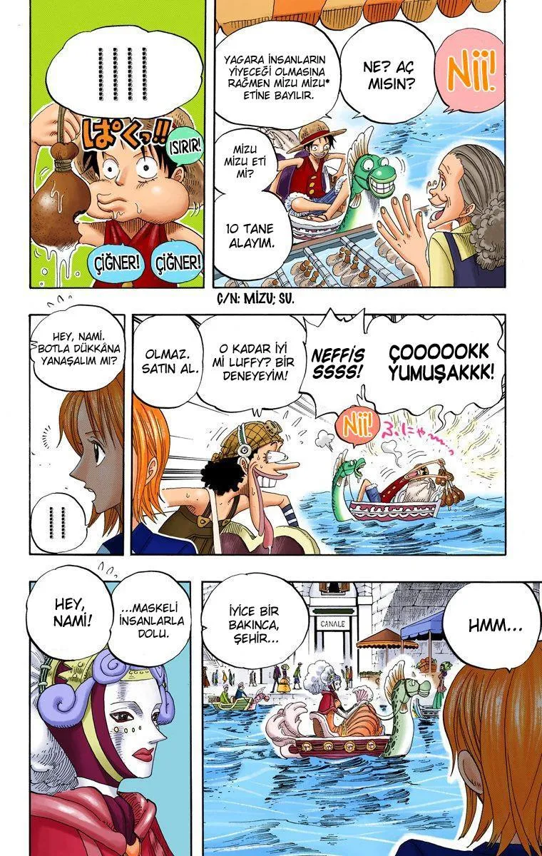 One Piece [Renkli] - Sayfa 13