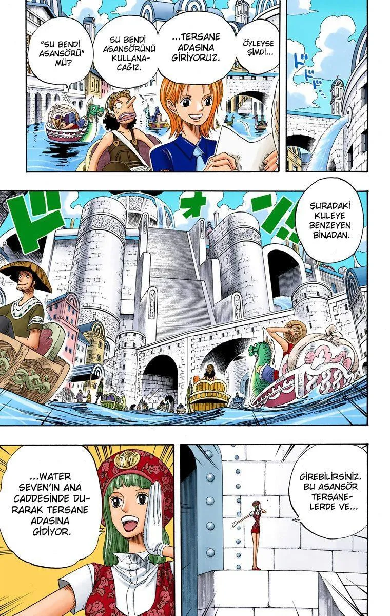 One Piece [Renkli] - Sayfa 14