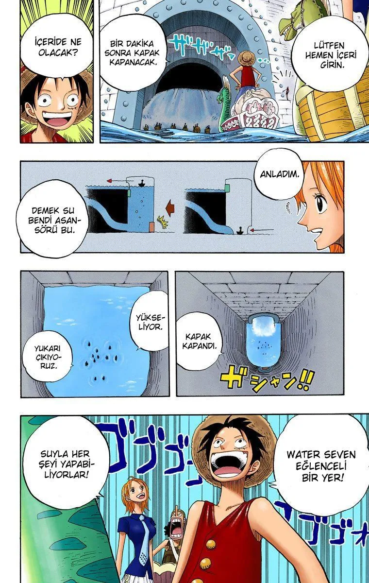 One Piece [Renkli] - Sayfa 15