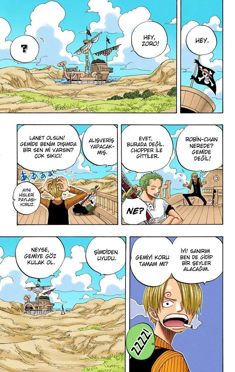 One Piece [Renkli] - Sayfa 16