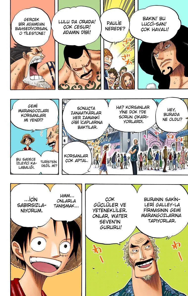 One Piece [Renkli] - Sayfa 18