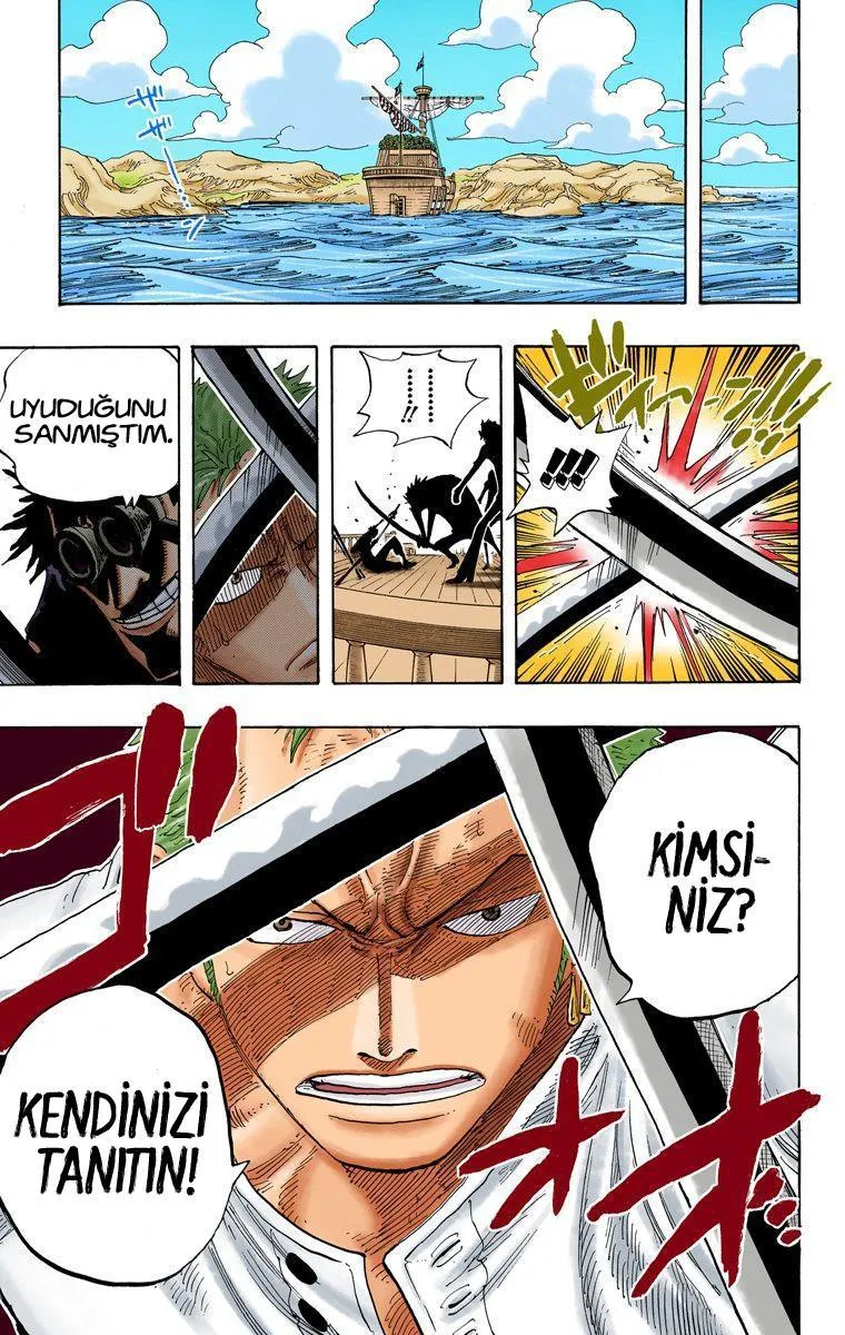 One Piece [Renkli] - Sayfa 19