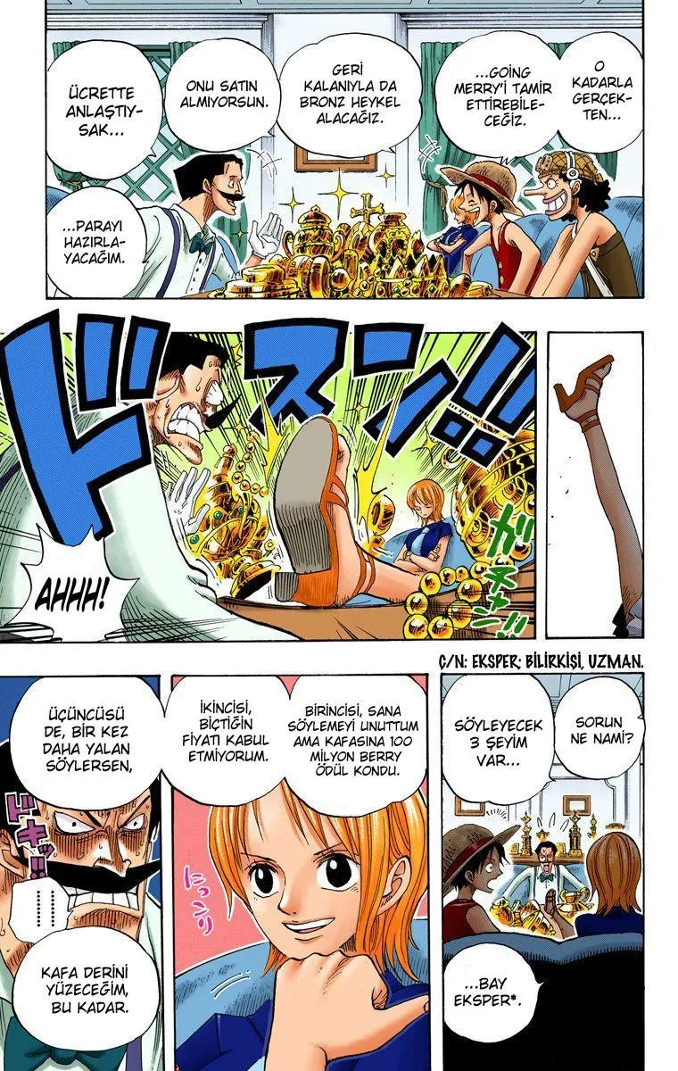 One Piece [Renkli] - Sayfa 12