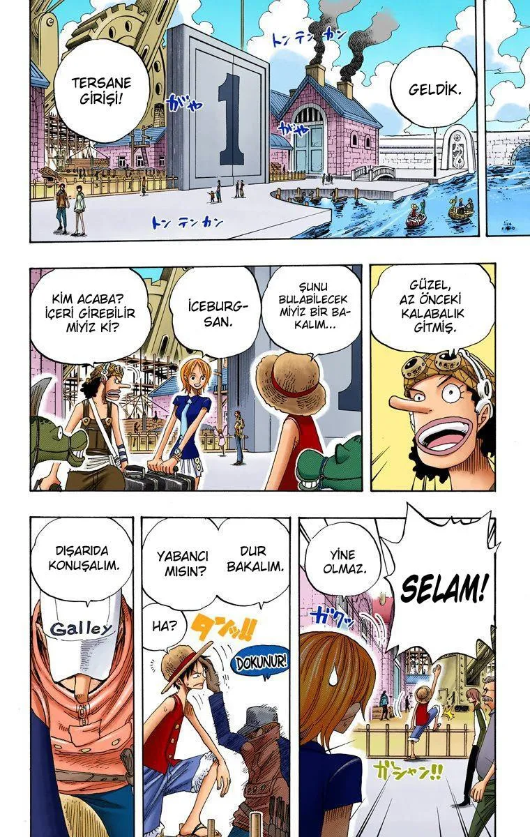 One Piece [Renkli] - Sayfa 15