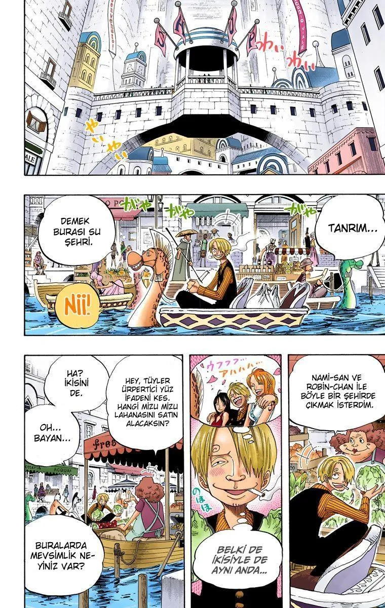 One Piece [Renkli] - Sayfa 3