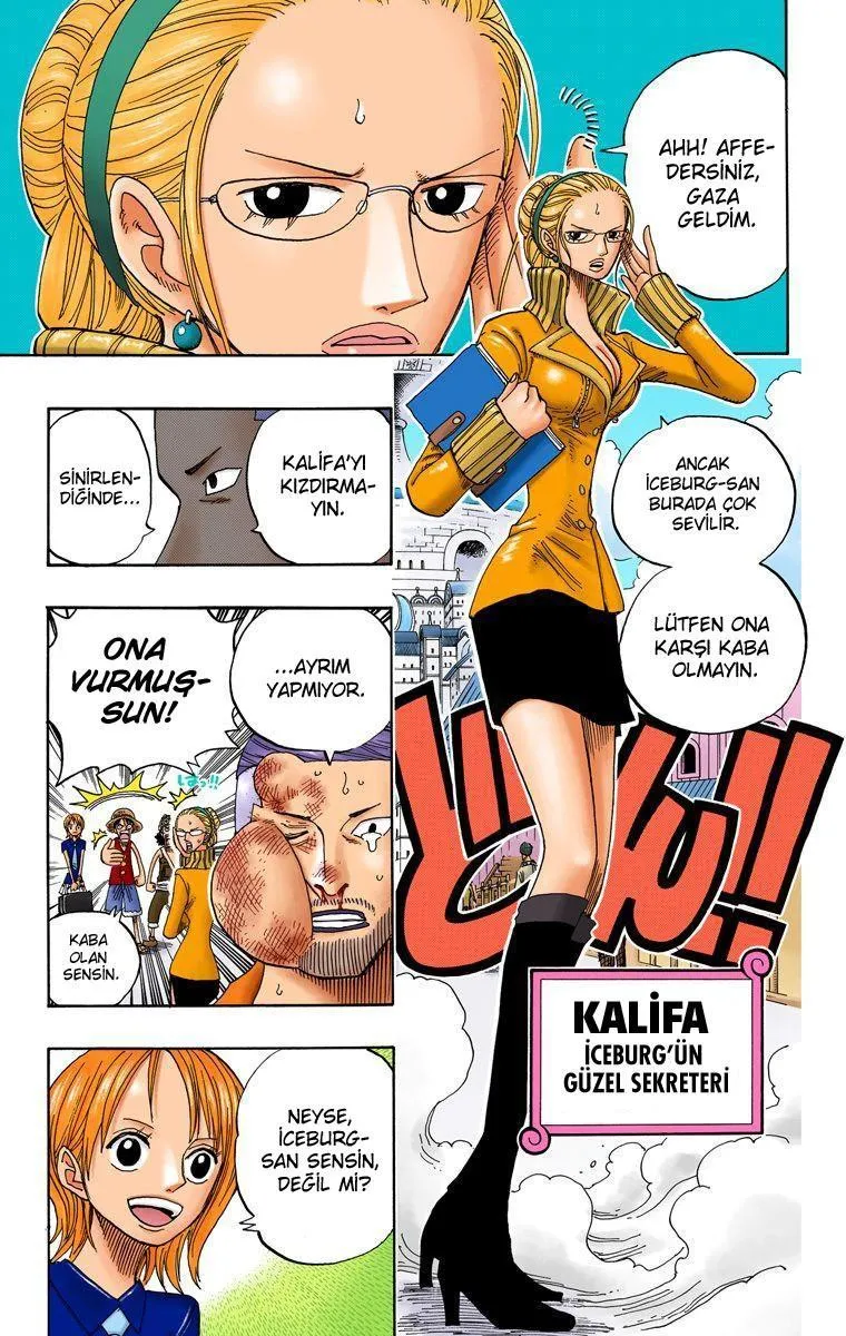 One Piece [Renkli] - Sayfa 12