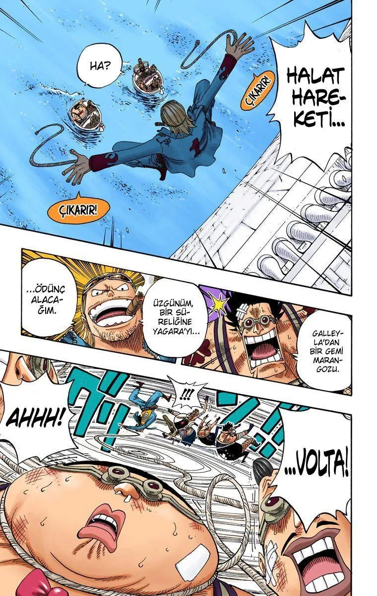 One Piece [Renkli] - Sayfa 16