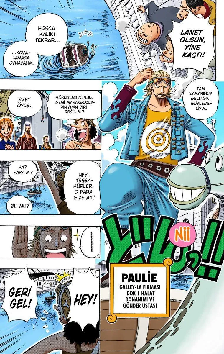 One Piece [Renkli] - Sayfa 18