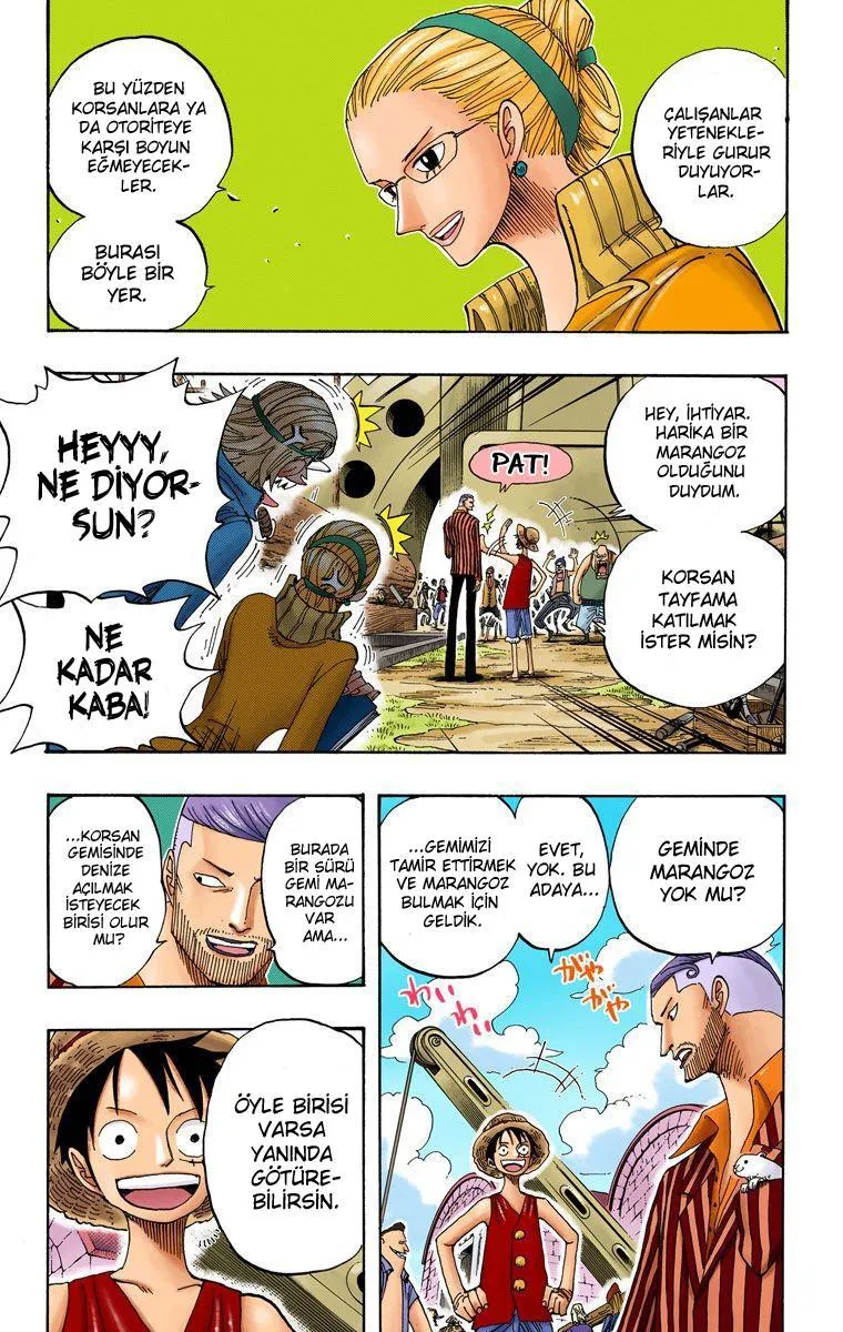 One Piece [Renkli] - Sayfa 16