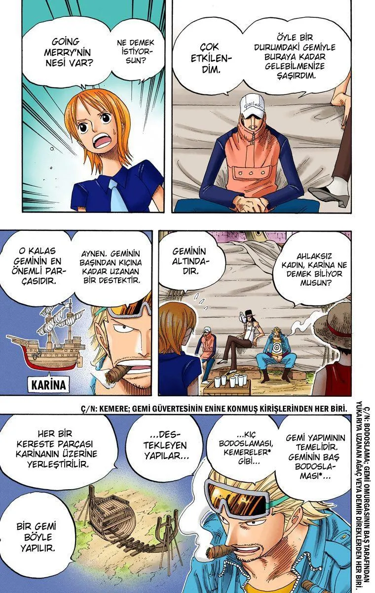 One Piece [Renkli] - Sayfa 6