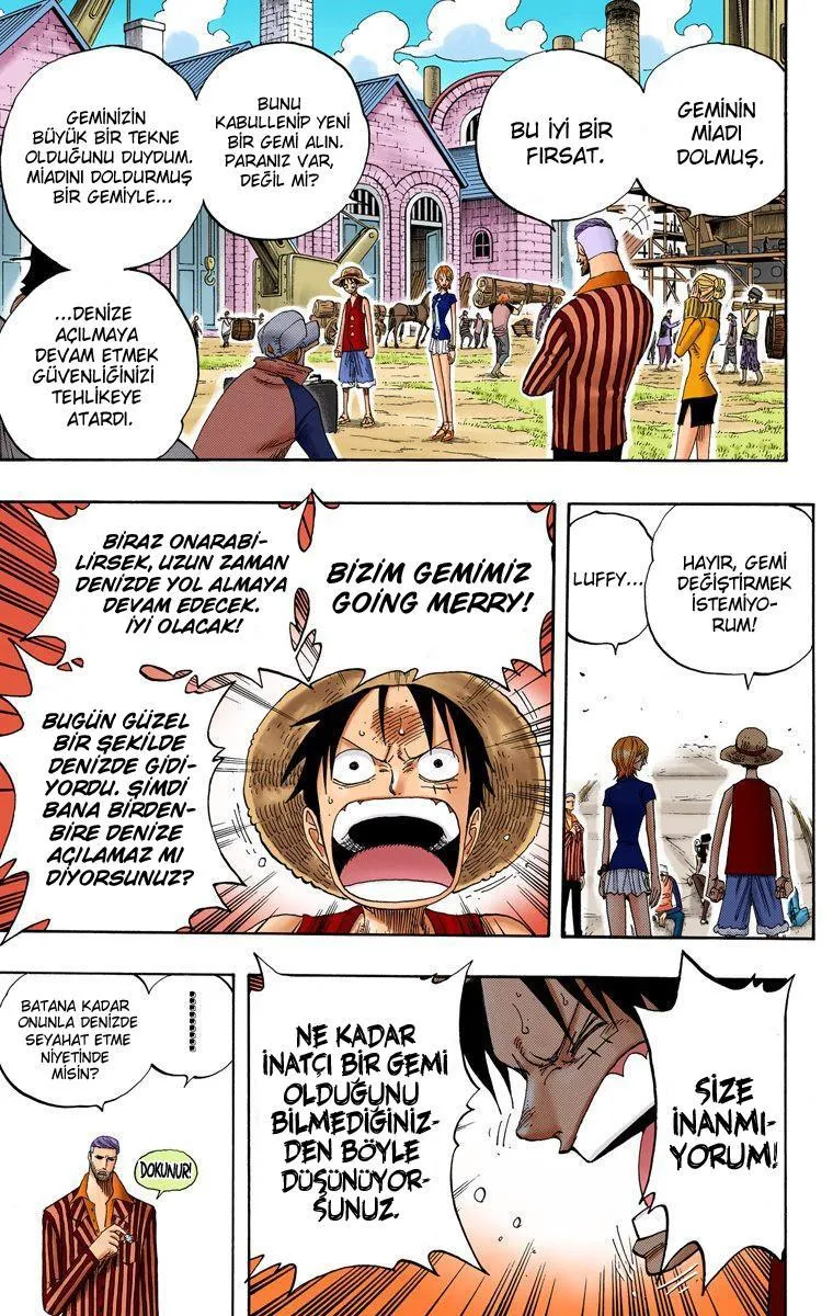 One Piece [Renkli] - Sayfa 10