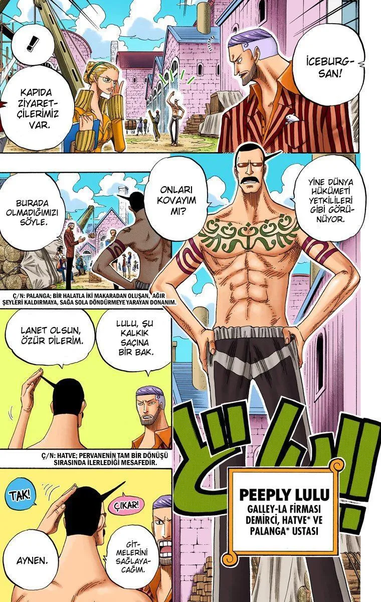 One Piece [Renkli] - Sayfa 12
