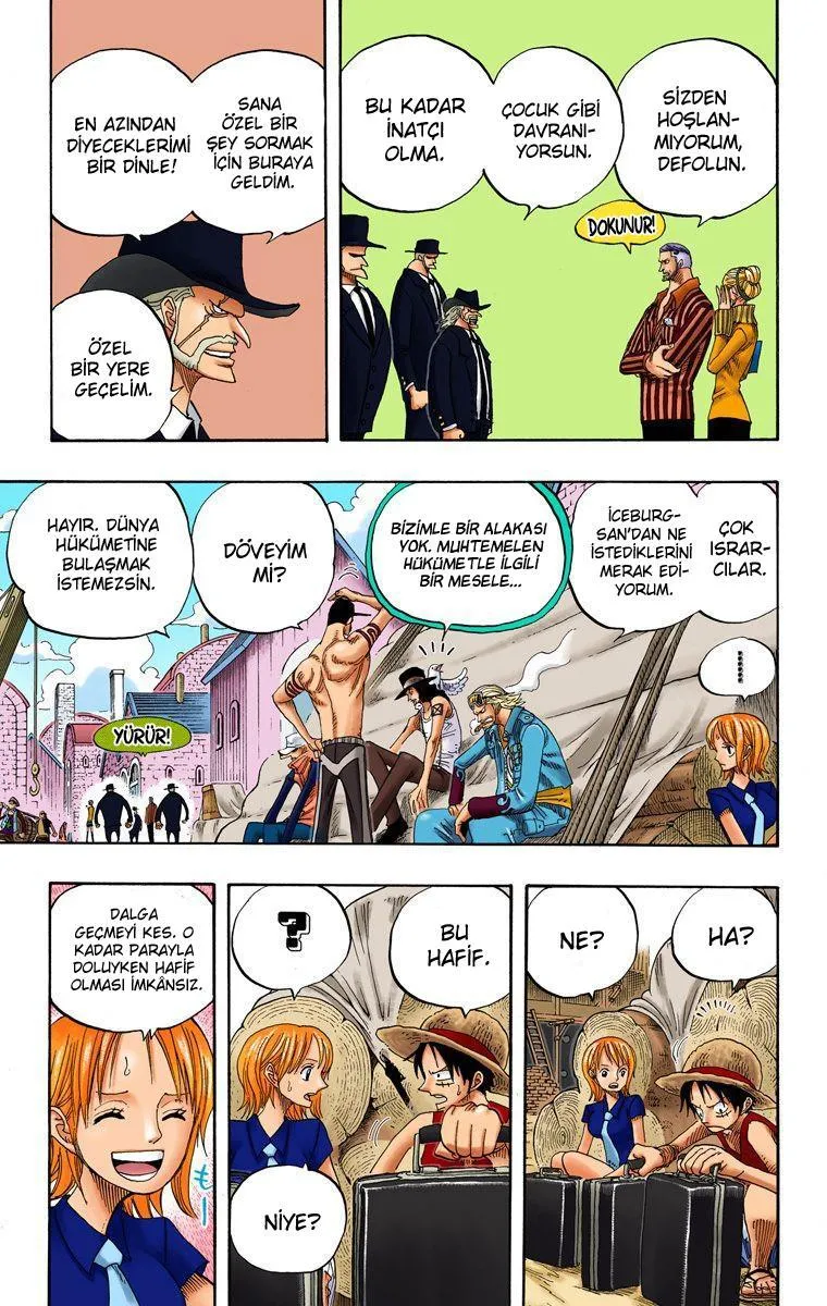 One Piece [Renkli] - Sayfa 14