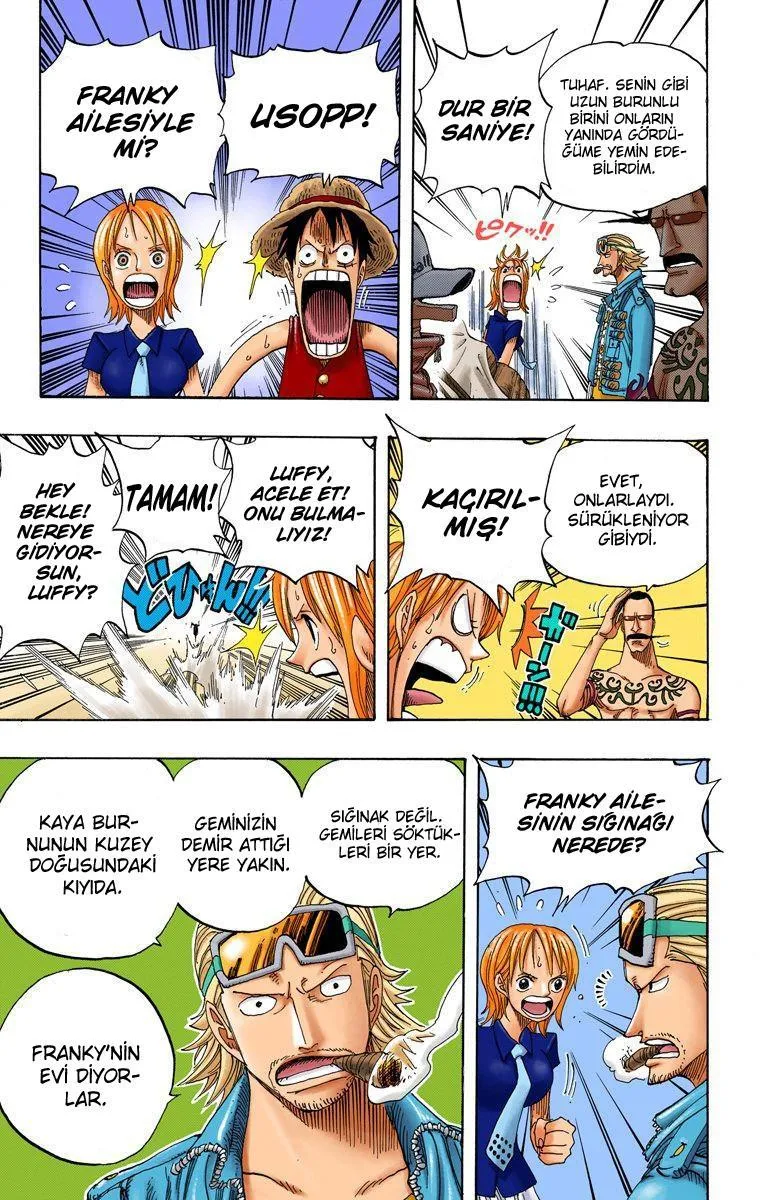 One Piece [Renkli] - Sayfa 16