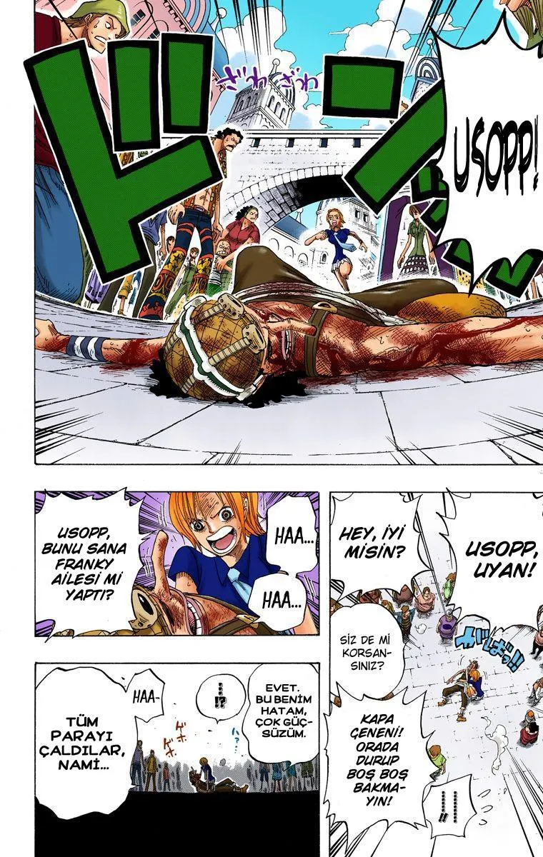 One Piece [Renkli] - Sayfa 19