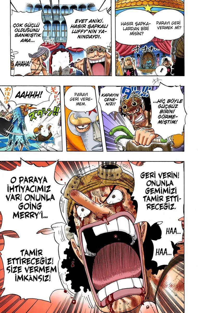 One Piece [Renkli] - Sayfa 12