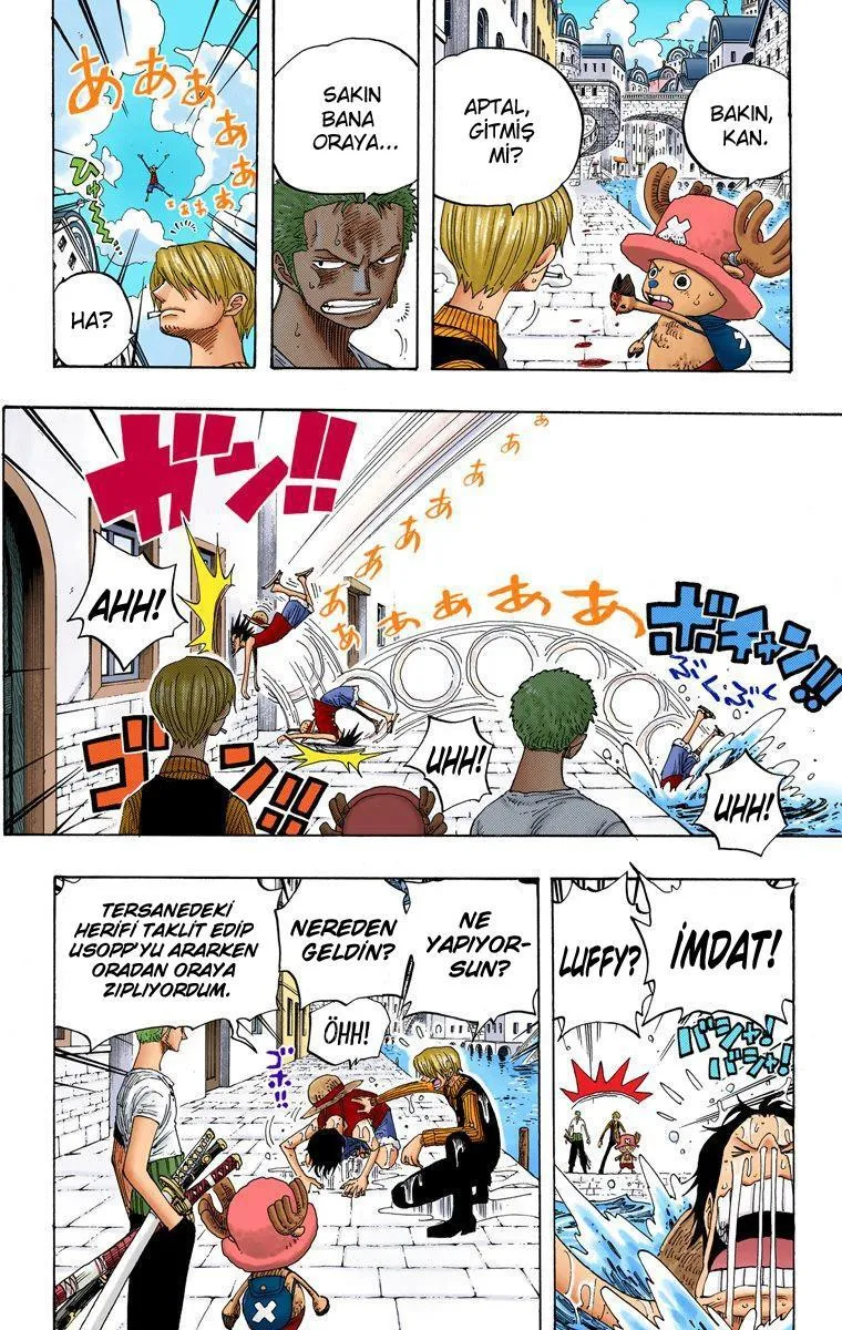 One Piece [Renkli] - Sayfa 17