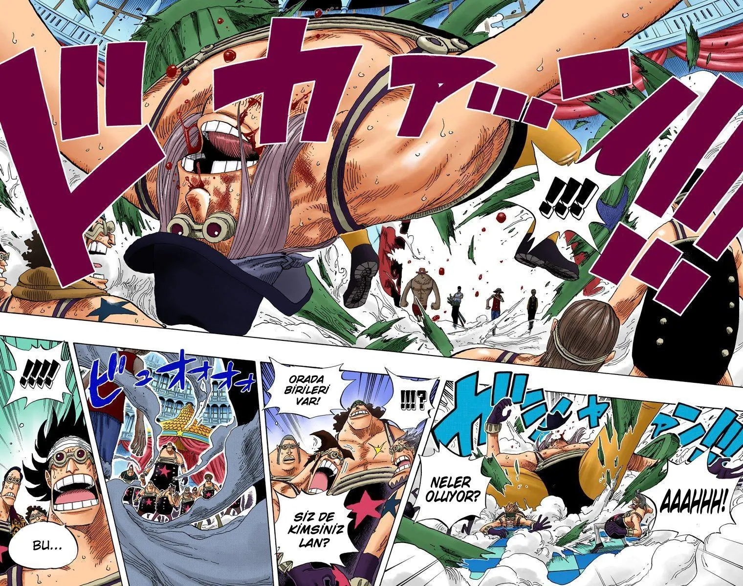 One Piece [Renkli] - Sayfa 5