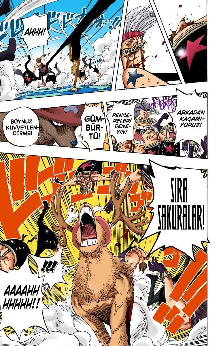 One Piece [Renkli] - Sayfa 13