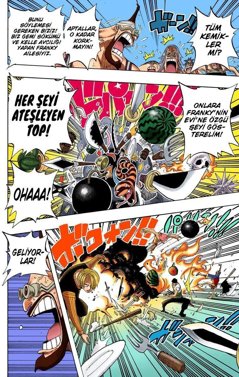 One Piece [Renkli] - Sayfa 15