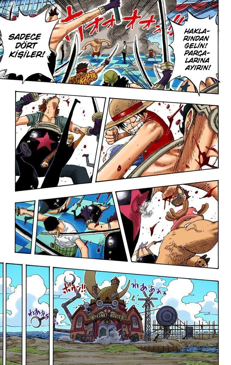 One Piece [Renkli] - Sayfa 16