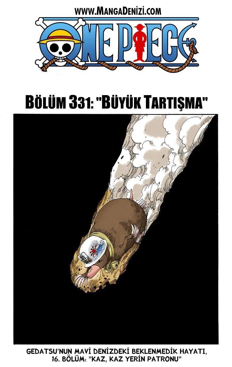 One Piece [Renkli] - Sayfa 2