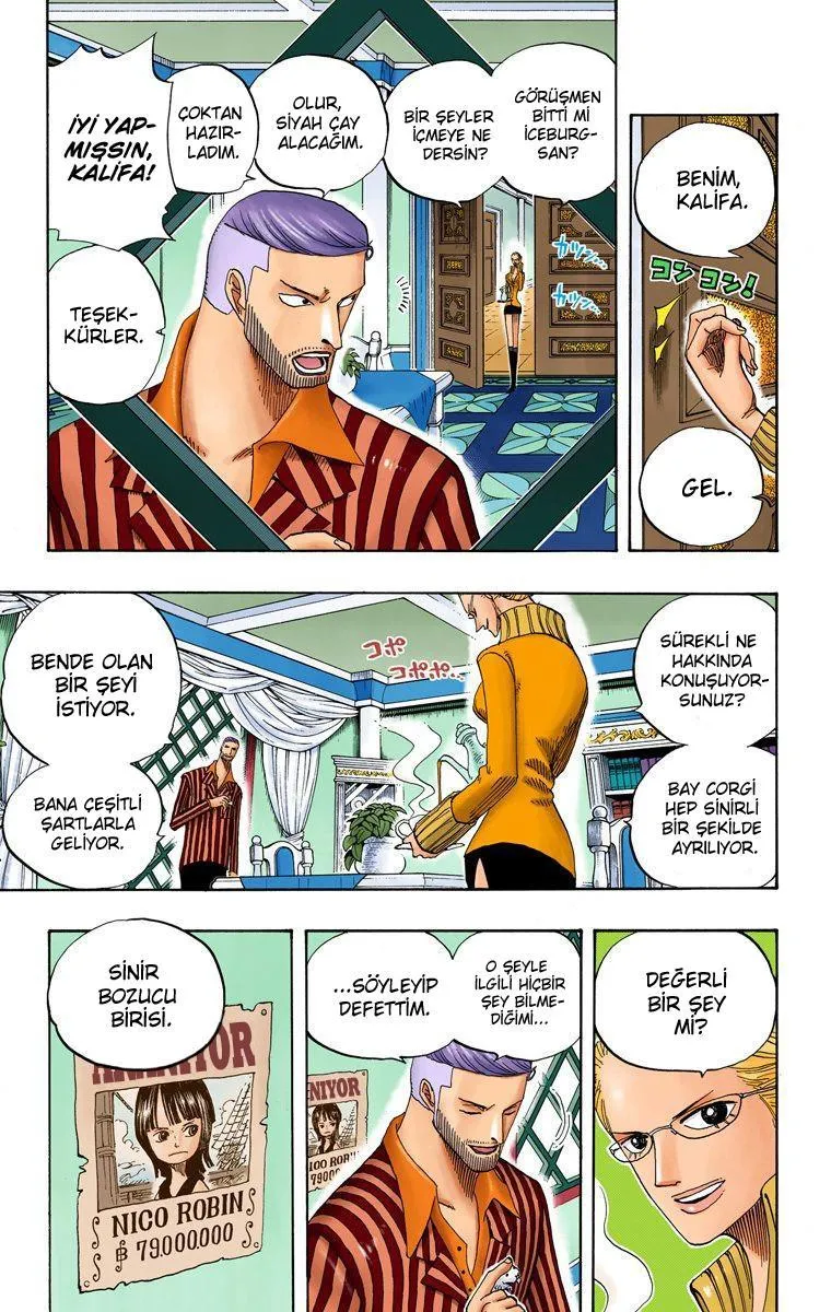 One Piece [Renkli] - Sayfa 4